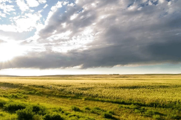 A vast, sunlit field of green grass and crops stretches toward the horizon under a dramatic sky, as sunlight breaks through from the left—perfect recreational land or hunting property.