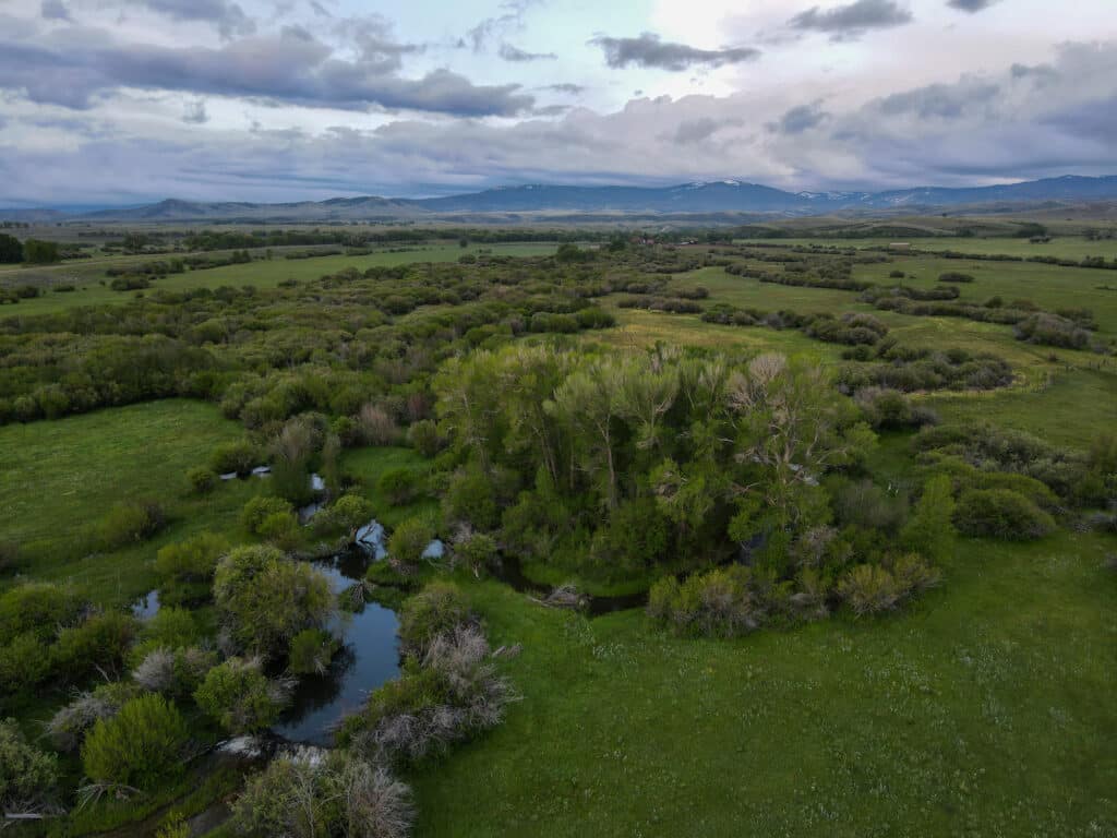 A lush green landscape with scattered trees and winding streams under a cloudy sky, distant mountains on the horizon—ideal land for sale, perfect as a cattle ranch or hunting property.