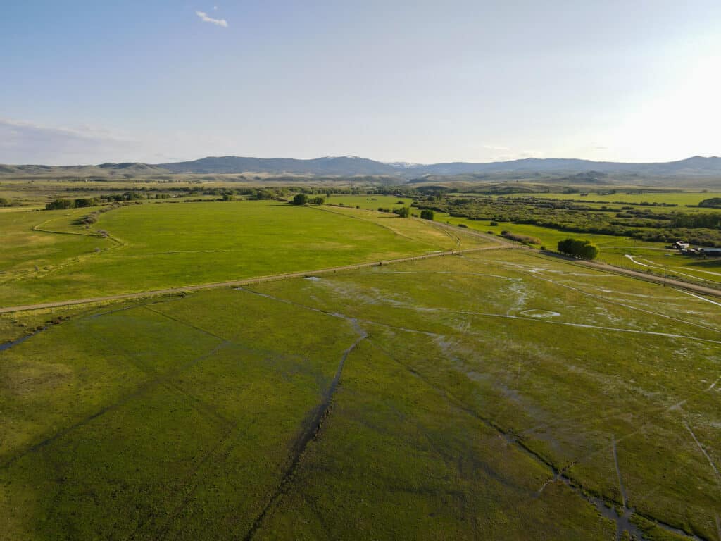 Aerial view of a green landscape with open fields, scattered trees, and winding dirt roads—ideal land for sale as a cattle ranch or hunting property set against distant hills under a clear sky.