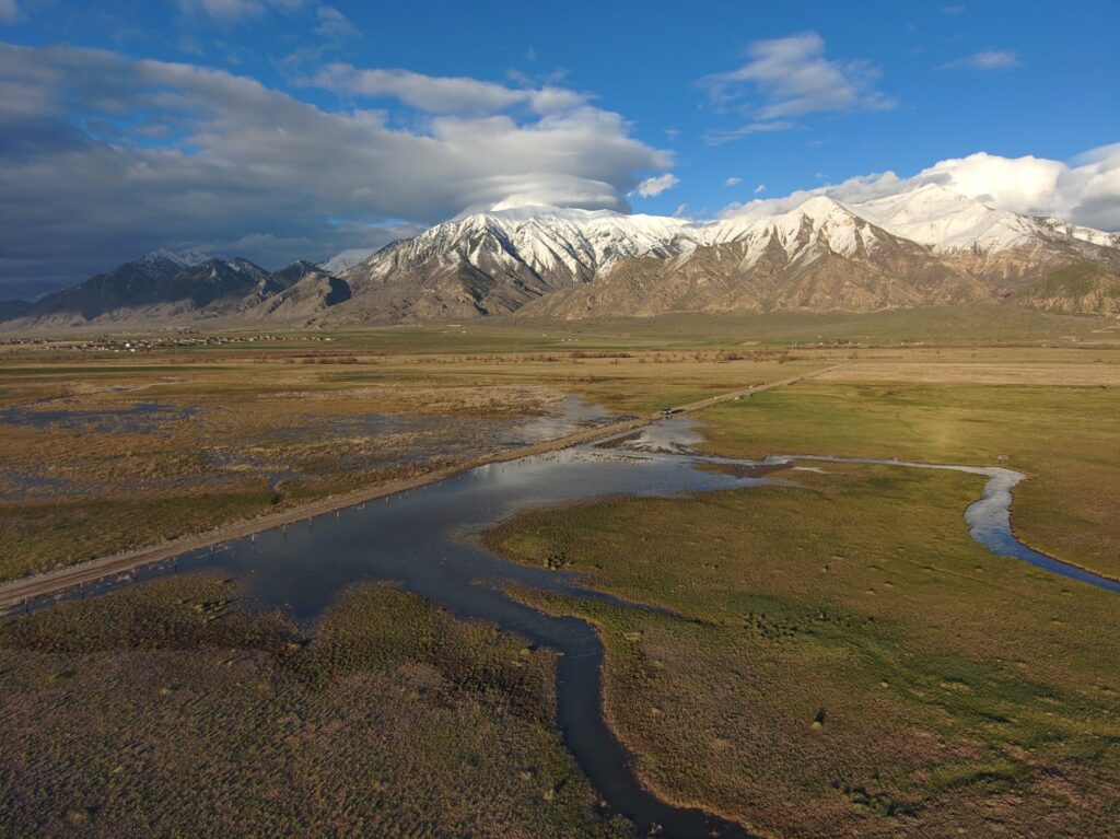 A wide, grassy plain perfect for a cattle ranch stretches toward snow-capped mountains beneath a partly cloudy blue sky. A narrow road runs through this scenic land for sale, leading toward the distant mountains.