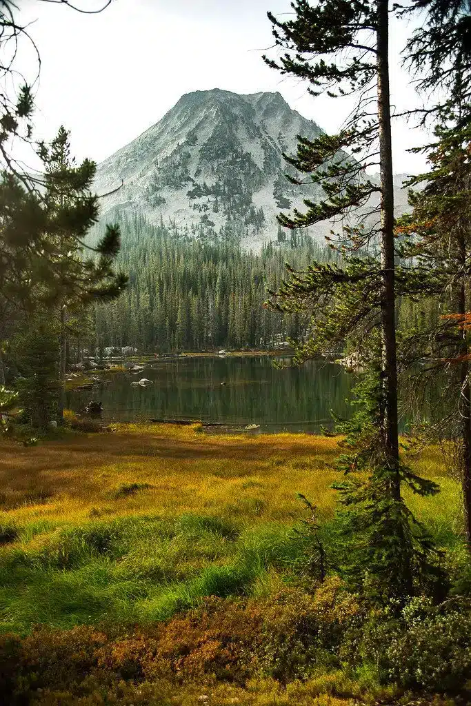 A scenic mountain rises behind a forest, with a calm lake and grassy meadow in the foreground. Tall pine trees frame this beautiful hunting property under a cloudy sky.