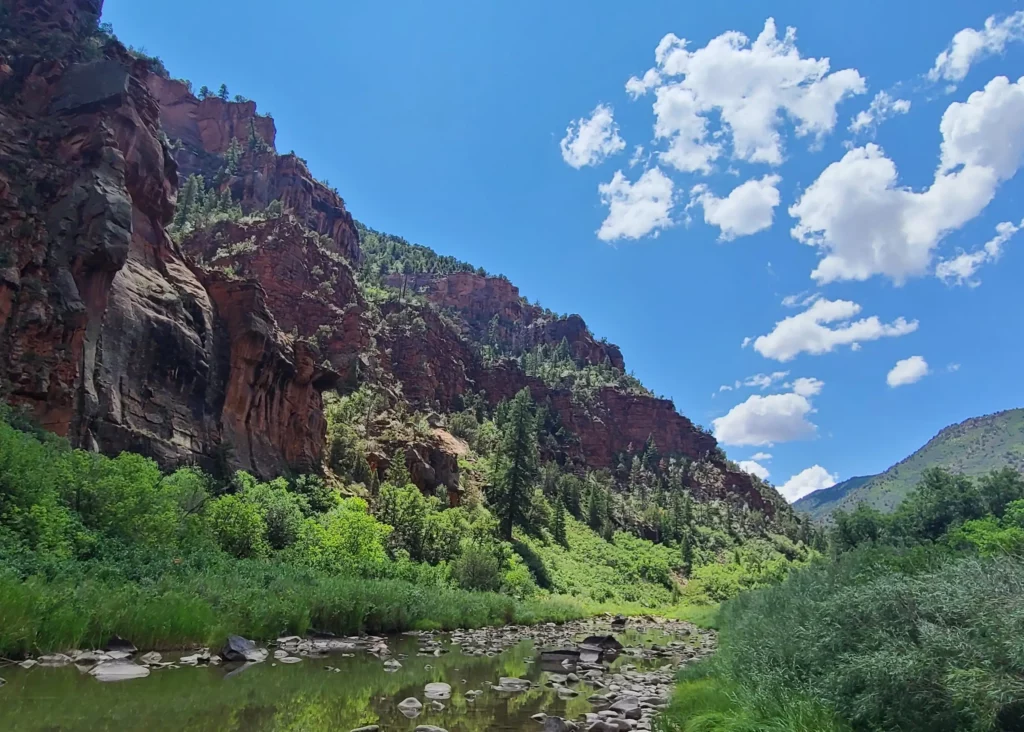 Red rocky cliffs rise above lush green vegetation and a reflective stream under a bright blue sky, offering scenic views on this picturesque cattle ranch.