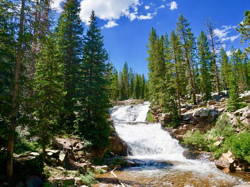 A cascading waterfall flows over rocky ledges on a scenic recreational land, surrounded by tall evergreens under a bright blue sky. Sunlight filters through the forest, highlighting the vibrant green foliage.