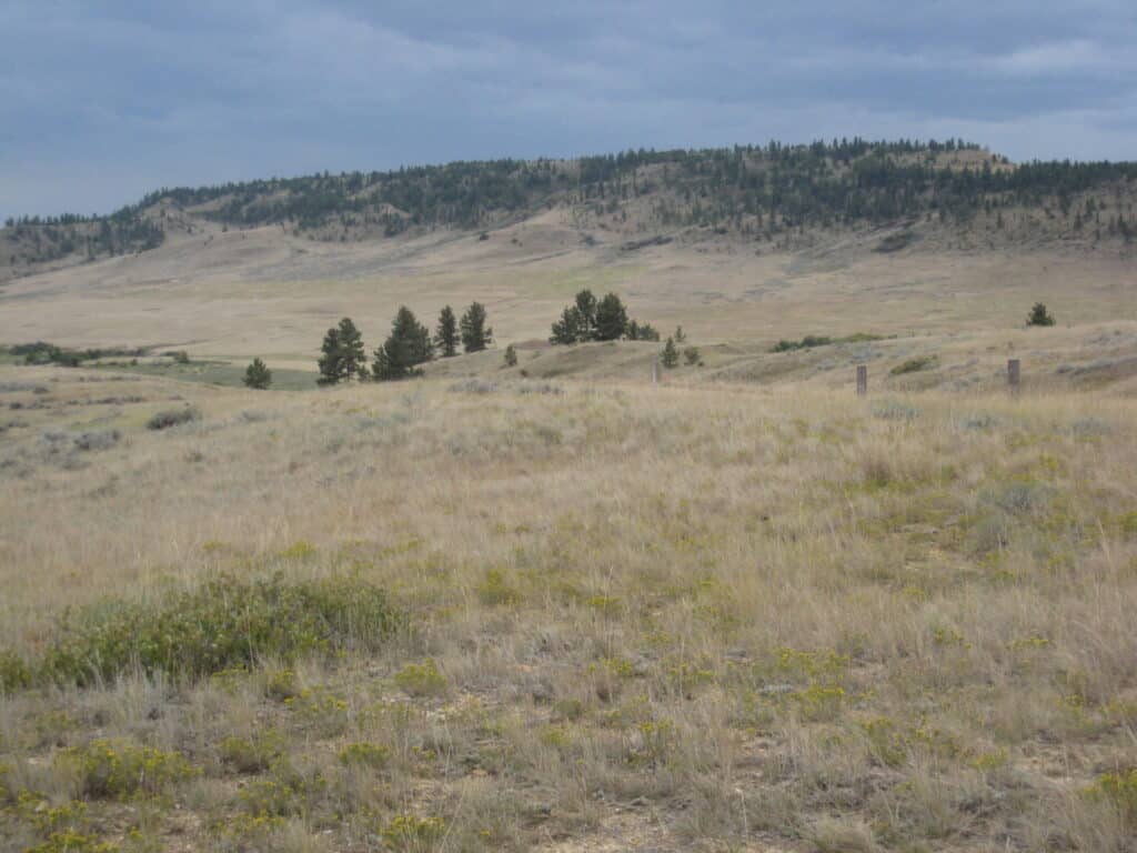 Grassy plains with scattered shrubs and small trees, set against gently rolling hills under a cloudy sky—ideal hunting property or cattle ranch land for sale.