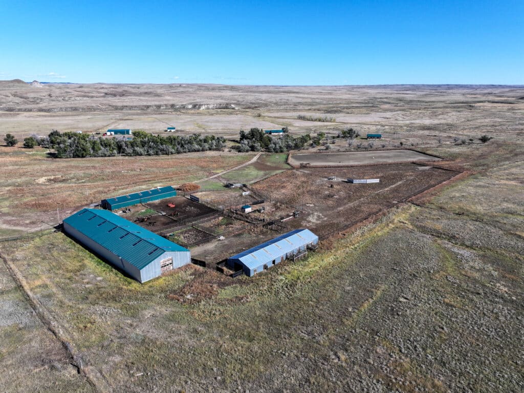 Aerial view of a cattle ranch featuring long, blue-roofed barns, fenced animal pens, and open fields surrounded by a vast, dry landscape under a clear blue sky—ideal land for sale.