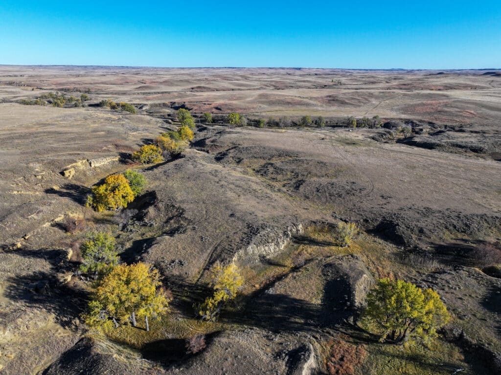 Aerial view of a vast, dry ranch for sale with sparse patches of trees along a winding, shallow ravine under a clear blue sky. Rolling hills stretch into the distance, offering prime recreational land and hunting property.
