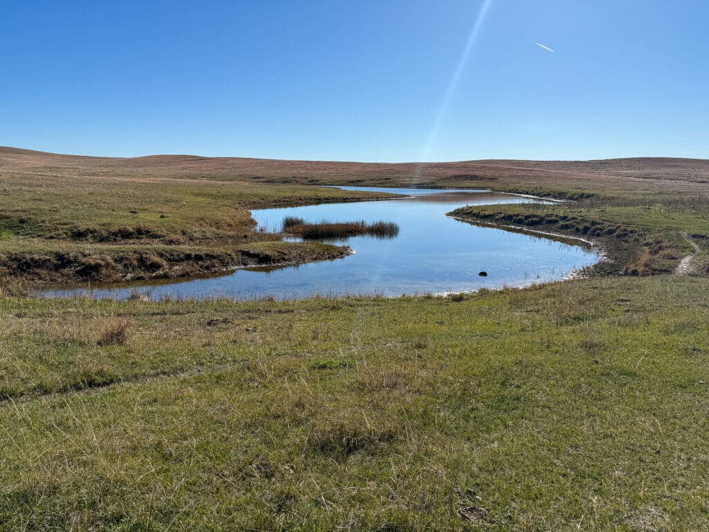 A small, calm pond reflects the clear blue sky on this open, grassy plain under bright sunlight. Rolling hills of dry grass and sparse vegetation make it ideal as recreational land or a hunting property.