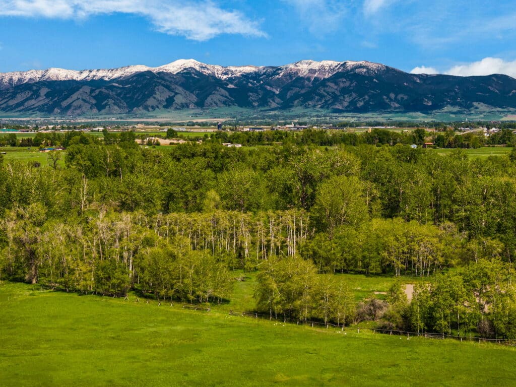 A lush green landscape with dense trees and a grassy field in the foreground, farmland in the middle ground, and snow-capped mountains under a blue sky—perfect for a hunting property or cattle ranch.