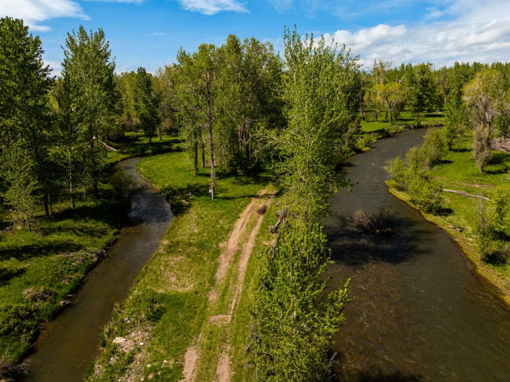 A winding river splits around a grassy, tree-lined bank with a dirt path running through the center—ideal for a hunting property or cattle ranch—surrounded by lush green trees under a blue sky with scattered clouds.