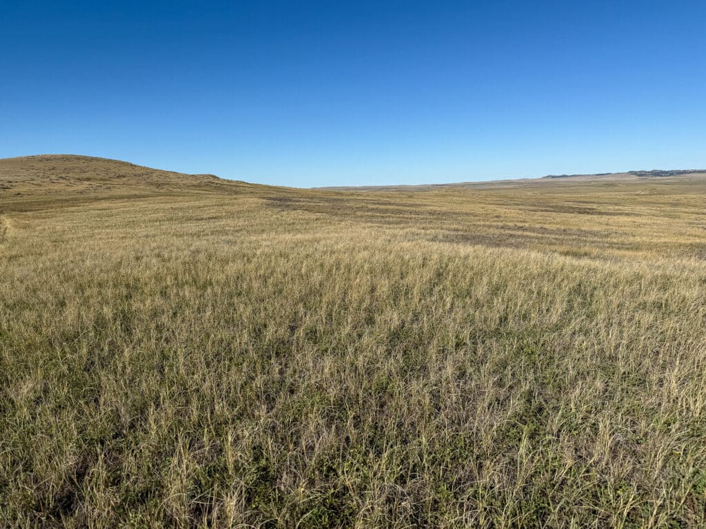 A wide expanse of dry grassland stretches under a clear blue sky, with gentle hills in the distance—an ideal ranch for sale or recreational land, with no trees or buildings visible.