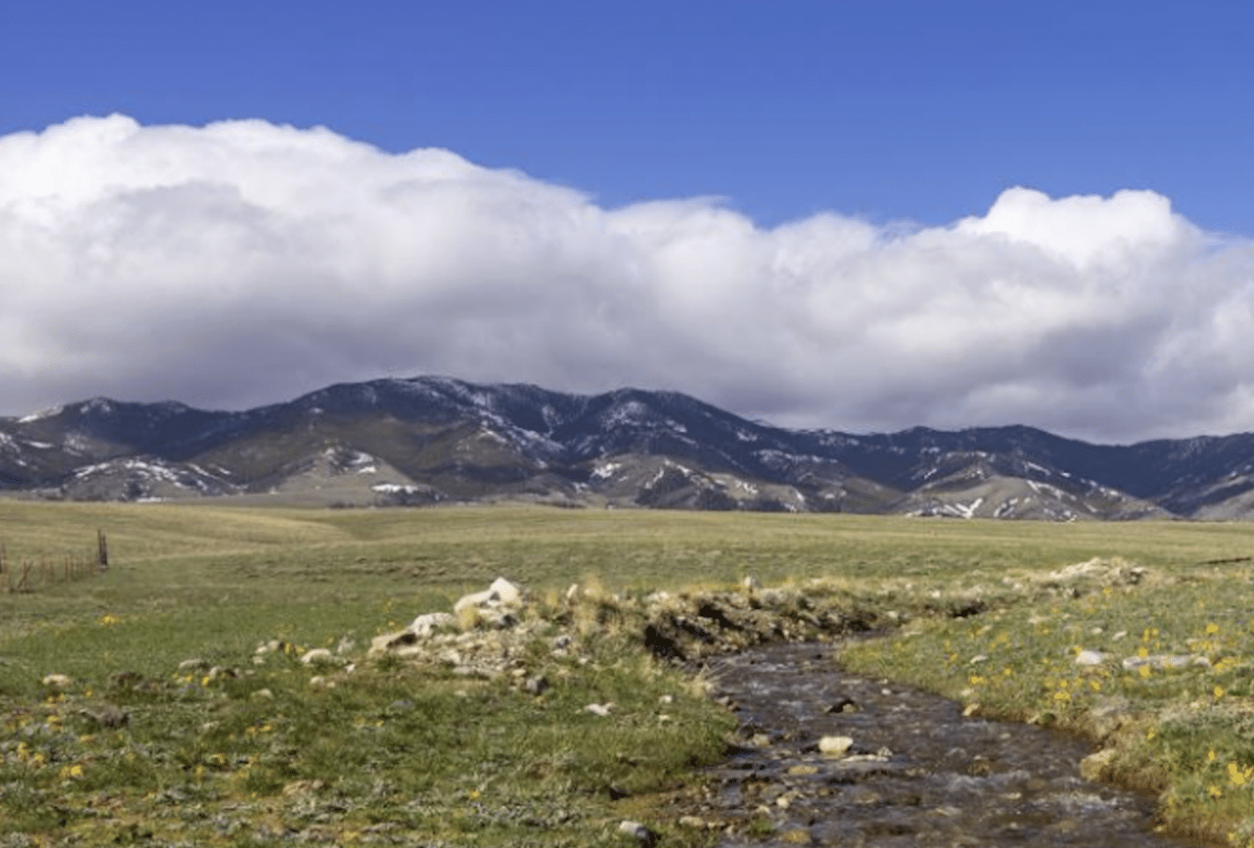 A small stream winds through recreational land filled with wildflowers, leading toward distant mountains partly covered in snow under a blue sky with scattered clouds.