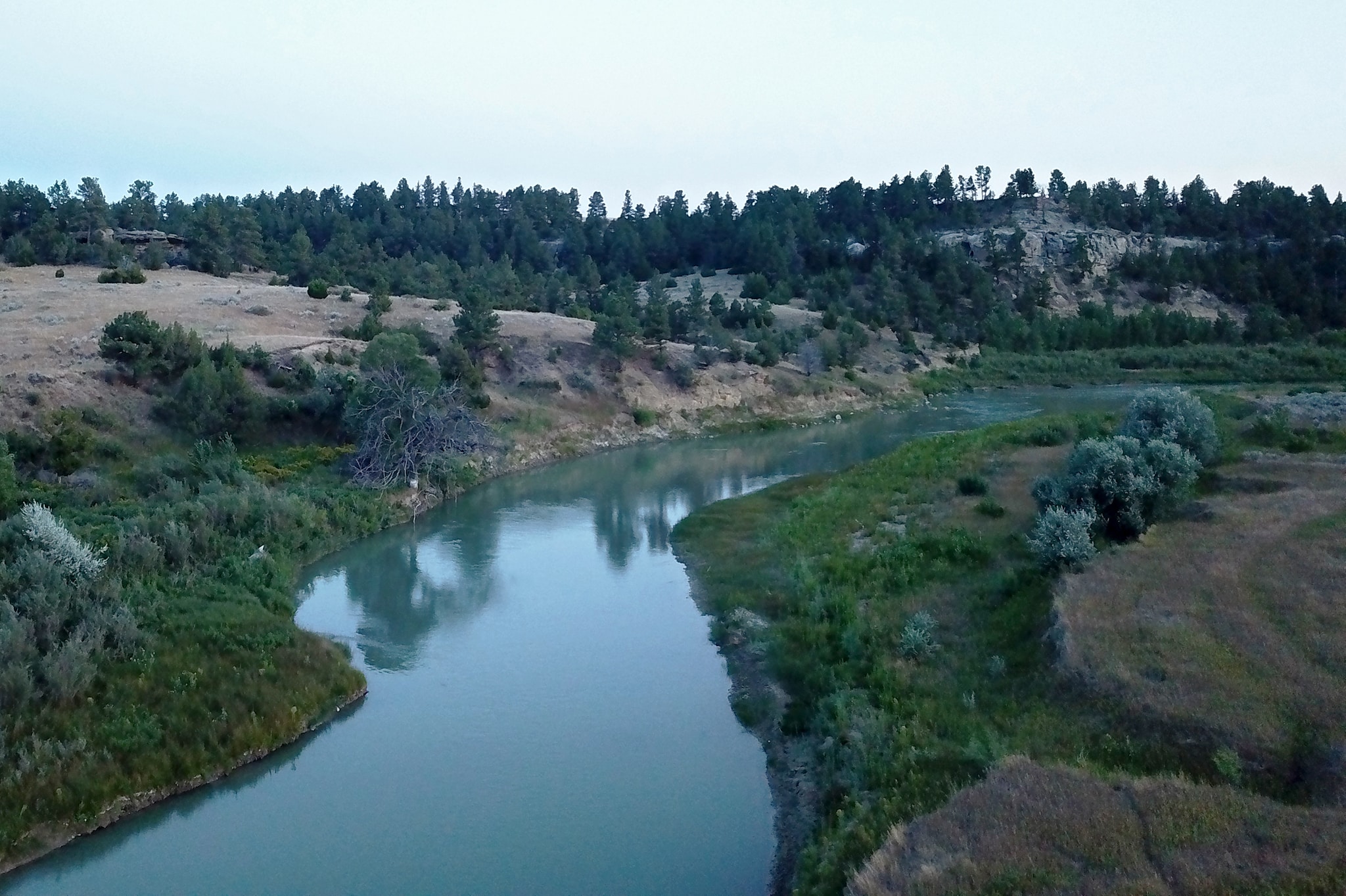 A calm, winding river flows through grassy land for sale with scattered trees and shrubs. Low hills covered in more trees rise in the background under a pale sky—ideal for a cattle ranch or hunting property.