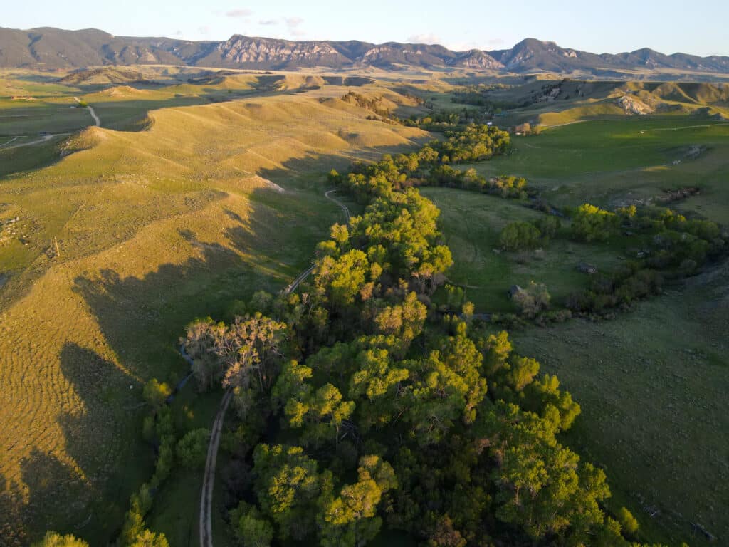 Aerial view of a green, tree-lined creek winding through rolling grassy hills on a cattle ranch, with mountains in the background under a clear, partly cloudy sky at sunset.