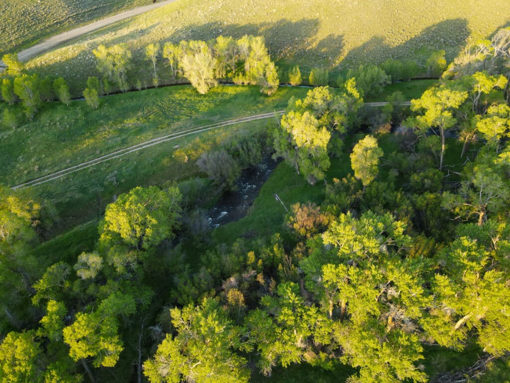 Crazy Woman Creek flows through this property for sale near Buffalo, WY.