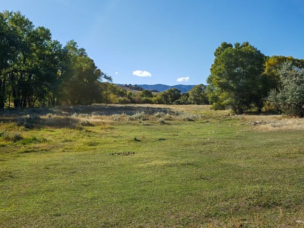 Good grazing pastures on this Wyoming property for sale near Buffalo, WY.