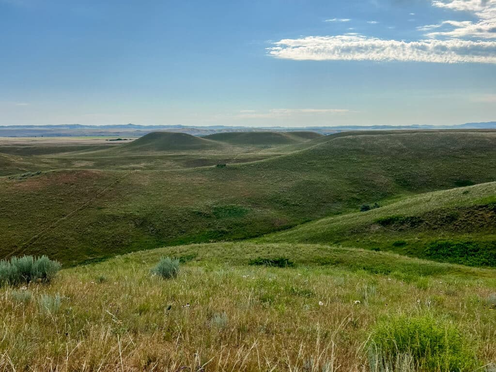 Rolling green grass-covered hills under a blue sky with scattered clouds stretch into the distant horizon on a clear, sunny day. Perfect recreational land or ranch for sale, with sparse shrubs in the foreground.