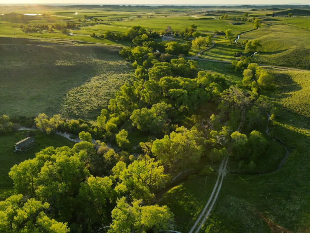 Lush riparian area by Crazy Woman Creek on this Wyoming property for sale.