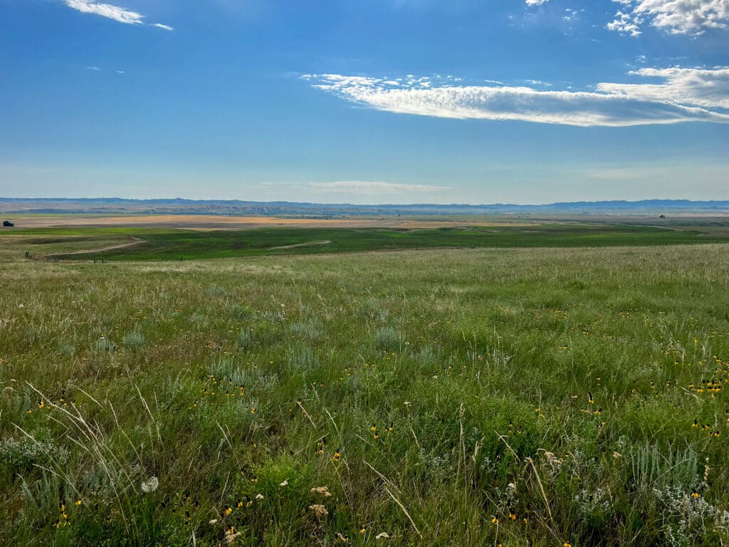A wide, open grassland stretches into the distance under a blue sky with scattered clouds. Wildflowers and green grasses cover this beautiful land for sale, with low hills visible on the horizon—perfect for a future ranch or hunting property.