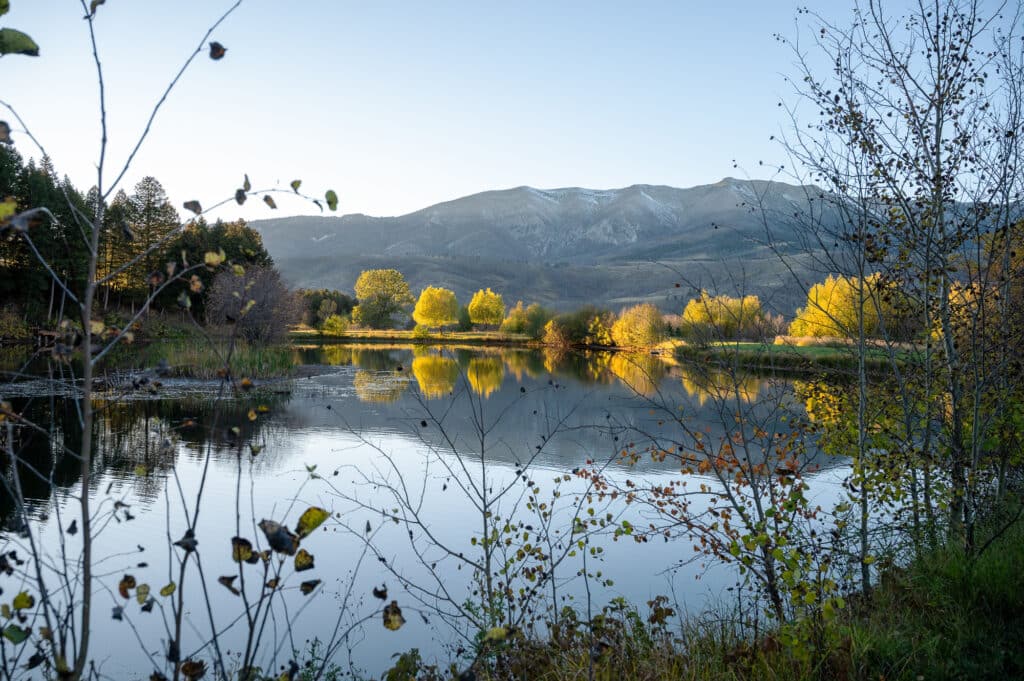A calm lake reflects autumn trees with golden leaves, framed by bare branches in the foreground, and distant mountains under a clear blue sky—capturing the serene beauty of Bridger Canyon near a tranquil Spring Creek estate.