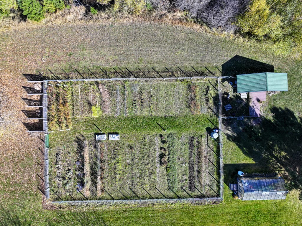 Aerial view of a rectangular fenced garden on a Bridger Canyon estate with multiple rows of plants, two signs, a small green-roofed shed, and a greenhouse, surrounded by grass and trees. Shadows from trees and structures are visible.