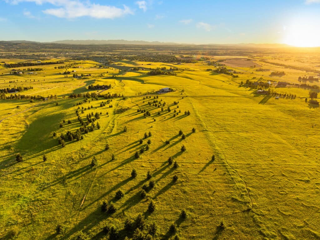 Aerial view of a vast, sunlit grassy landscape near Five Ranges, with scattered trees casting long shadows, distant hills, and a bright sun low in the sky on the horizon.