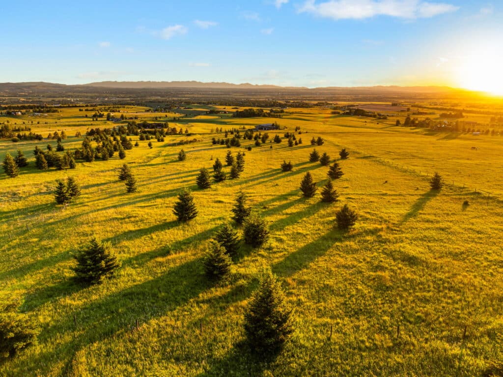 Aerial view of a sunlit grassy field near Sypes Canyon with scattered trees casting long shadows, set against the distant Five Ranges under a clear blue sky at sunset.