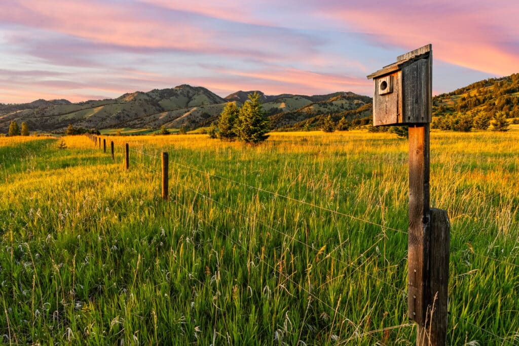 A wooden birdhouse sits on a post next to a wire fence in a grassy field near Sypes Canyon, with the Five Ranges and rolling hills silhouetted against a colorful, pink and orange sunset sky.