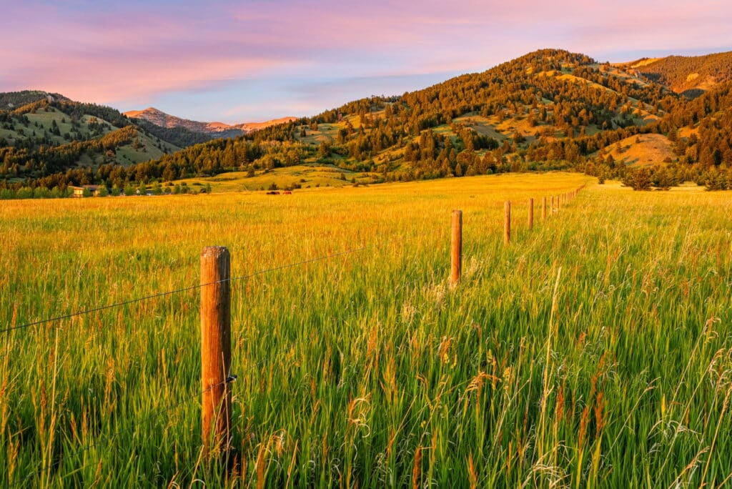 A wire fence runs through a grassy field at sunset, with the Five Ranges and Sypes Canyon’s tree-covered mountains in the background under a colorful sky.