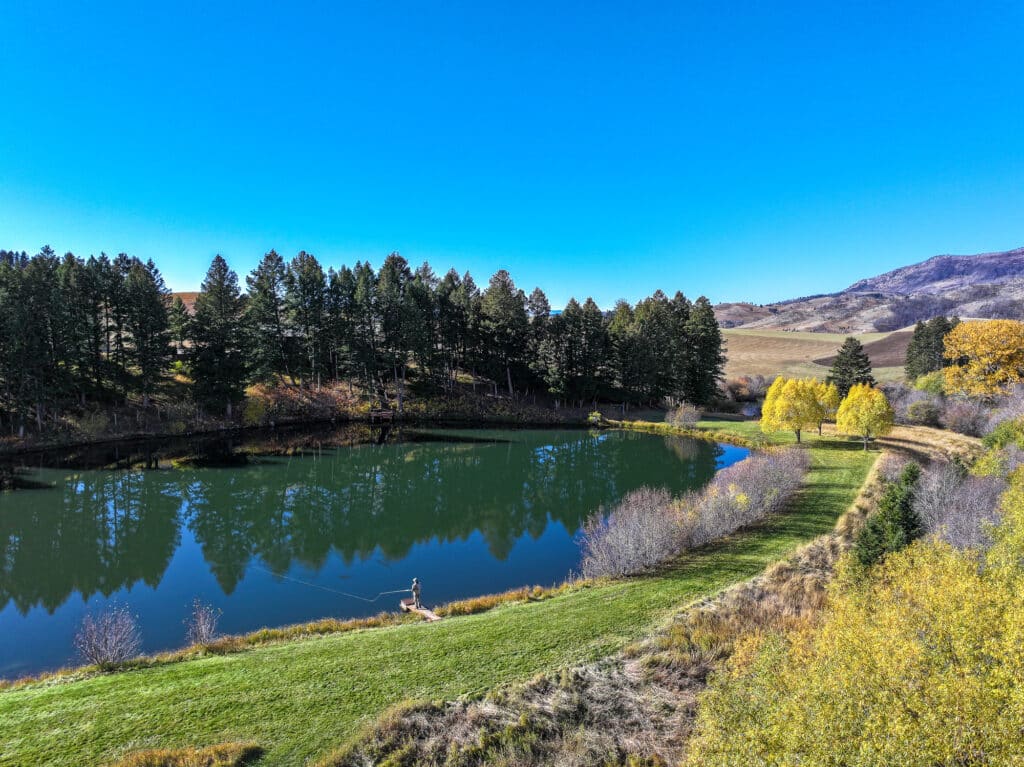 A person is fly fishing by a small, tree-lined lake on a scenic Estate in Bridger Canyon, surrounded by green grass, autumn trees, and rolling hills under a clear blue sky.