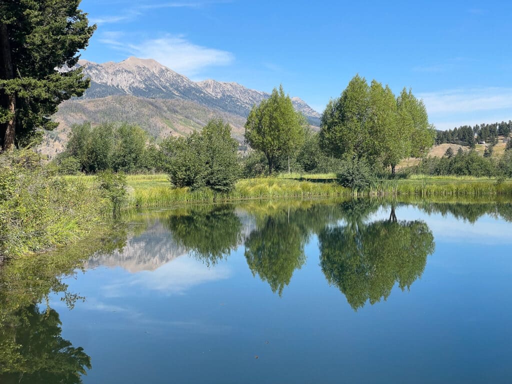 A calm pond at Spring Creek reflects trees and distant mountains under a clear blue sky, with green grass and shrubs lining the water’s edge in Bridger Canyon Estate.