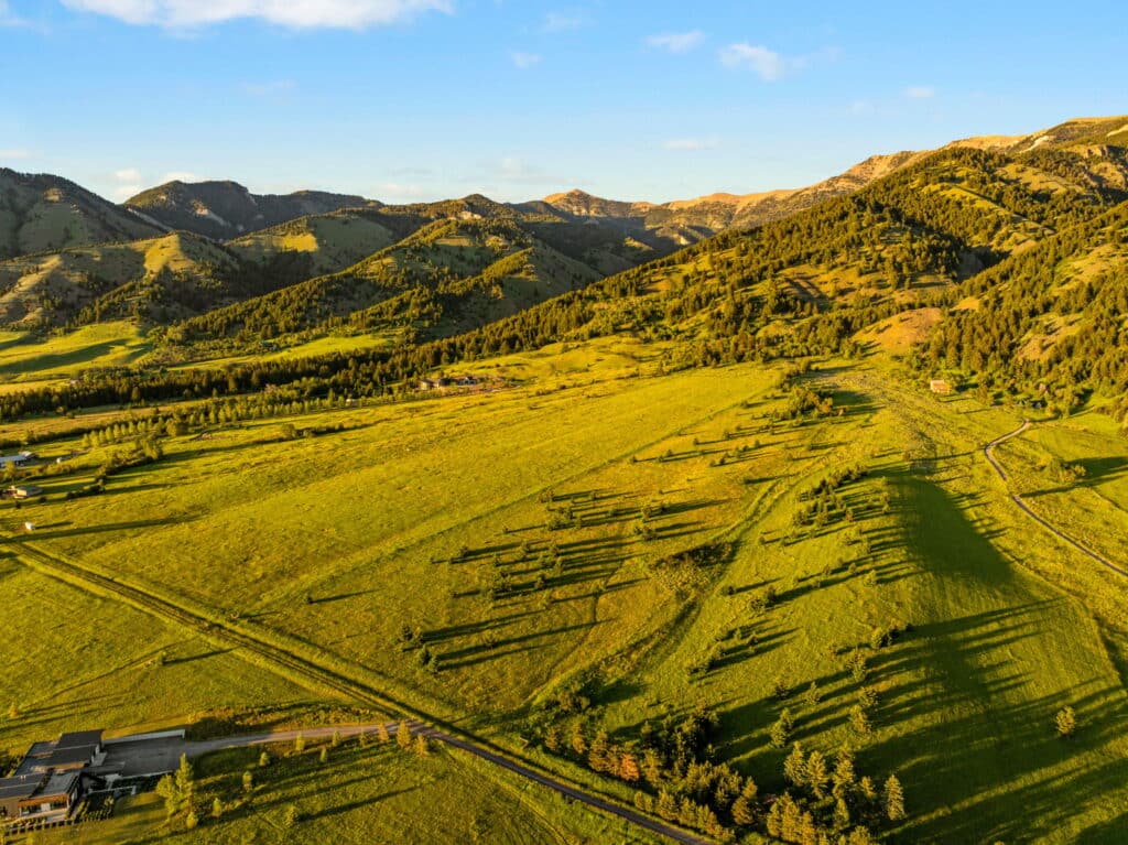 Aerial view of a sunlit, green valley near Sypes Canyon with scattered trees casting long shadows, surrounded by forested hills and the distant Five Ranges under a clear blue sky.