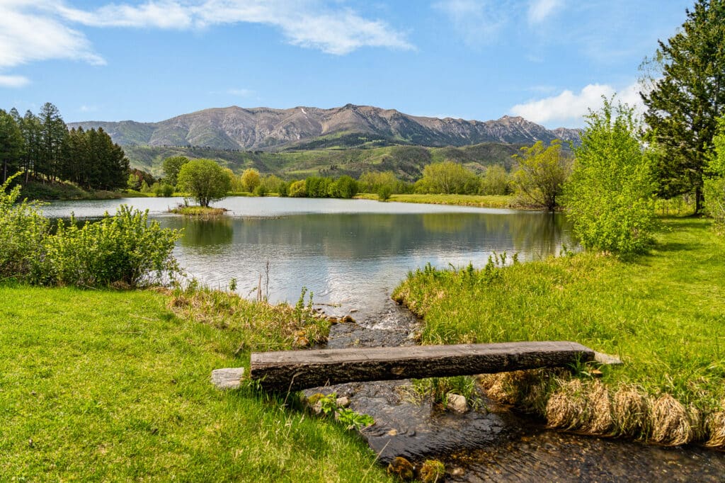 A small wooden plank bridge crosses Spring Creek, leading to a calm lake surrounded by lush green grass and trees, with distant mountains and a blue sky in the background—perfect for a peaceful Bridger Canyon estate.