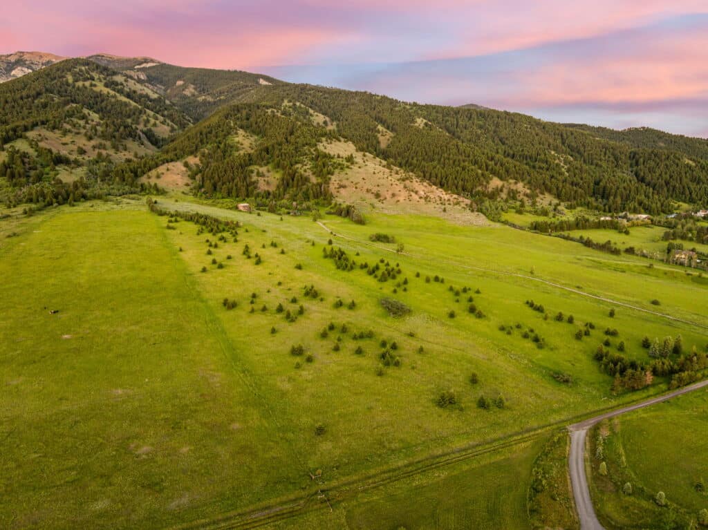 A wide, green valley with scattered trees stretches toward the Five Ranges' forested hills under a pink and purple sunset sky; a winding road runs through the landscape.
