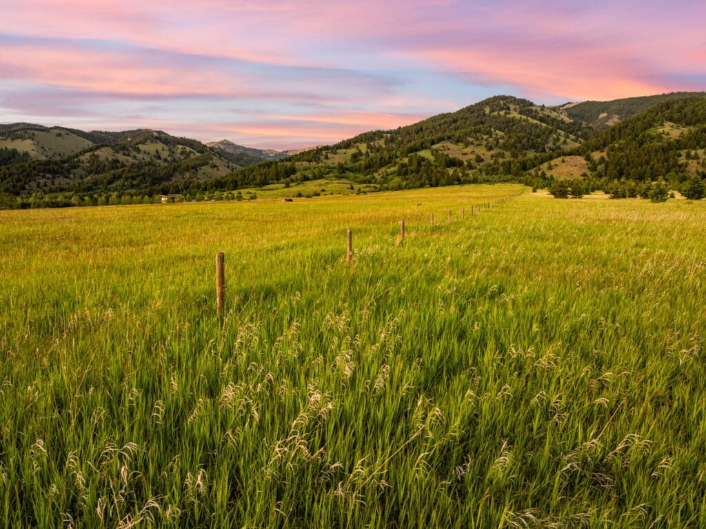 A grassy field with a line of wooden fence posts stretches toward the rolling green hills of the Five Ranges and forested mountains, all beneath a pink and blue sunset sky—an inviting scene near Sypes Canyon hiking trails.