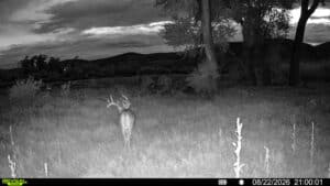 A deer with antlers stands in a grassy field at night, facing away from the camera on Corps of Discovery Ranch. Trees and hills are visible in the background under a cloudy sky. A timestamp reads 08/22/2026 21:00:01.