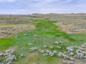 A green patch of grass runs through Antelope Springs Ranch, cutting across a dry, shrub-covered plain under a cloudy sky, with distant low hills on the horizon.