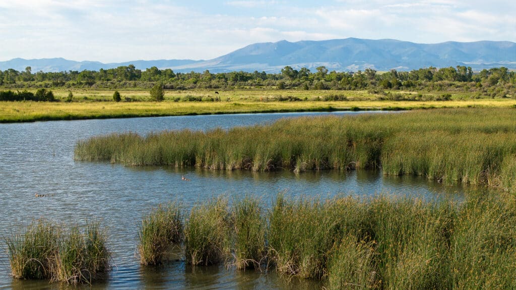 A pond with tall reeds and grass surrounds calm water, backed by green fields and distant blue mountains under a partly cloudy sky—reminiscent of the serene landscapes once explored by the Corps of Discovery on their journey, or perhaps part of a peaceful ranch nestled in the countryside.