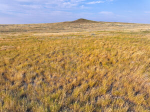 A grassy prairie landscape with gentle yellow and green hues stretches toward a low, rounded hill under a partly cloudy blue sky, evoking the tranquil beauty of Antelope Springs Ranch.