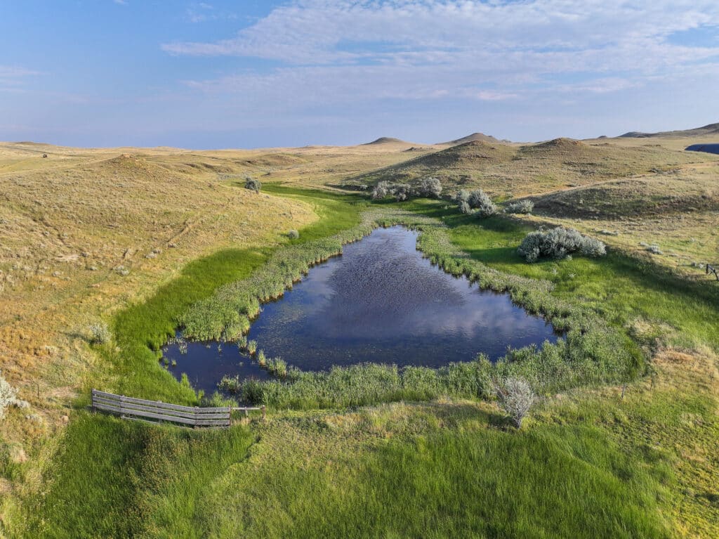 A small pond surrounded by lush green grass and rolling hills under a blue sky forms the tranquil heart of Antelope Springs Ranch. A wooden fence runs along the foreground, and a few scattered shrubs dot the landscape, adding to the ranch’s serene charm.