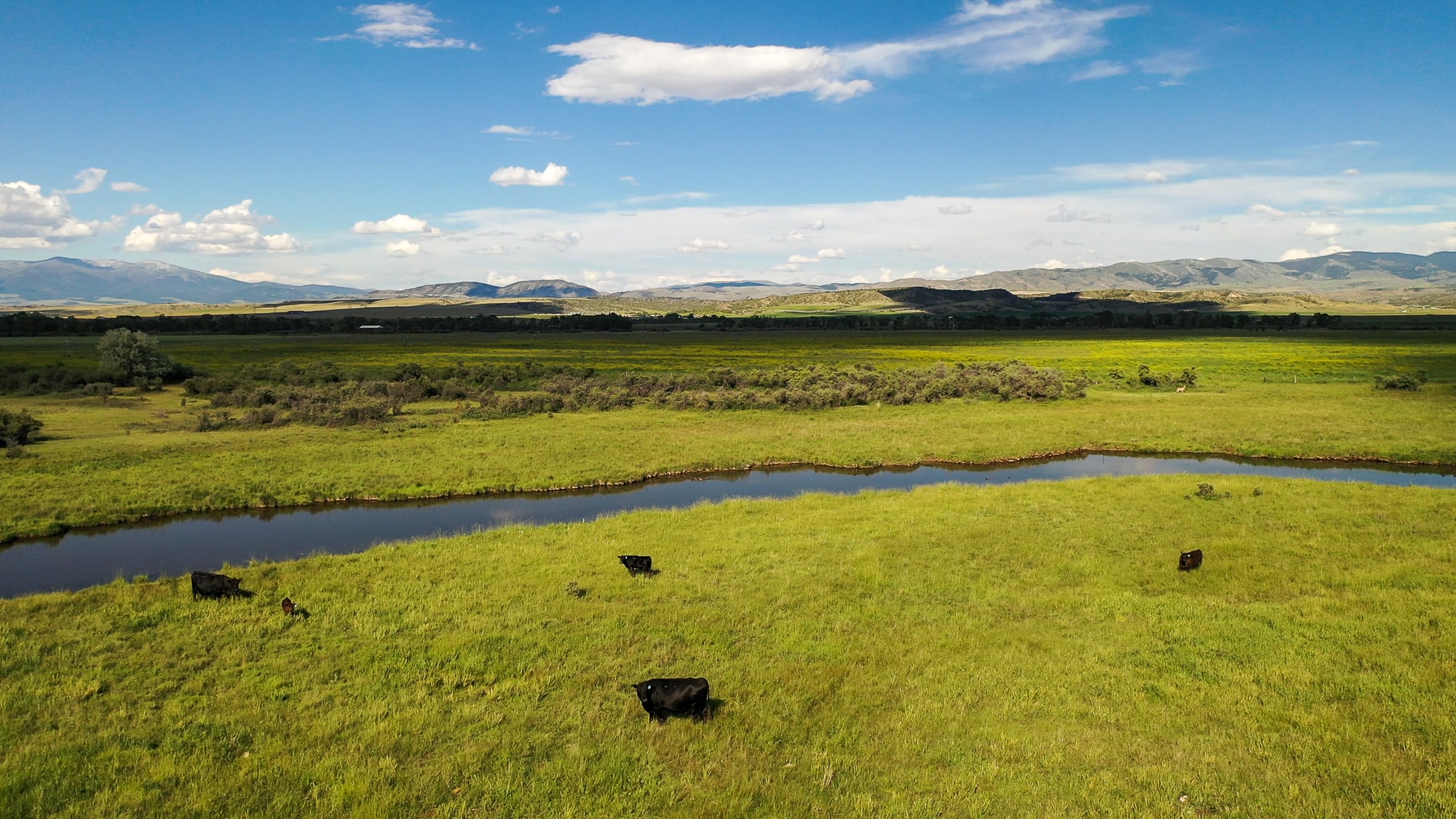 A grassy landscape with a winding river, grazing cows, and distant hills under a blue sky with scattered clouds evokes the serene beauty of the Corps of Discovery Ranch.