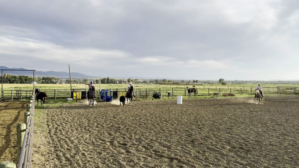 Three riders on horseback practice roping a calf in the dirt arena at the Double T Estate.