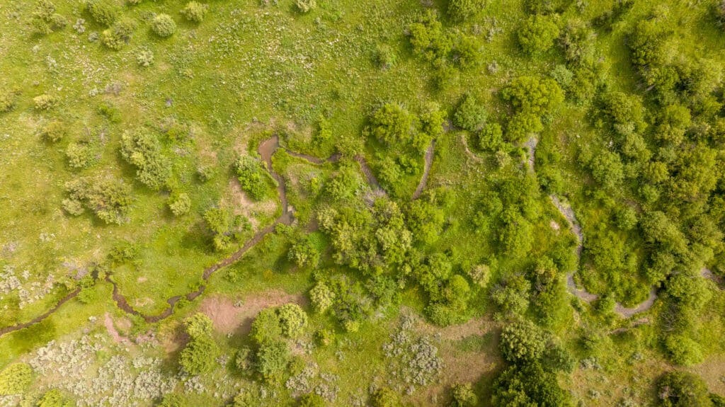 Aerial view of a lush green landscape with scattered trees and a winding narrow stream, creating a natural, vibrant scene at Battle Mountain Ranch.