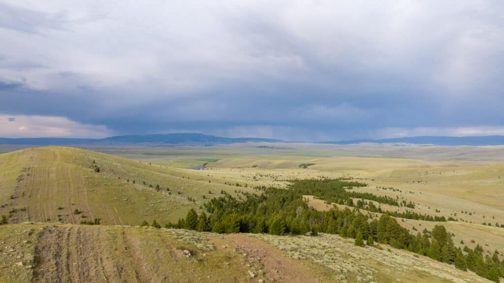 A wide view of rolling green hills and scattered trees under a cloudy sky, with distant mountains and rain visible on the horizon, sets the tranquil scene at Battle Mountain Ranch.