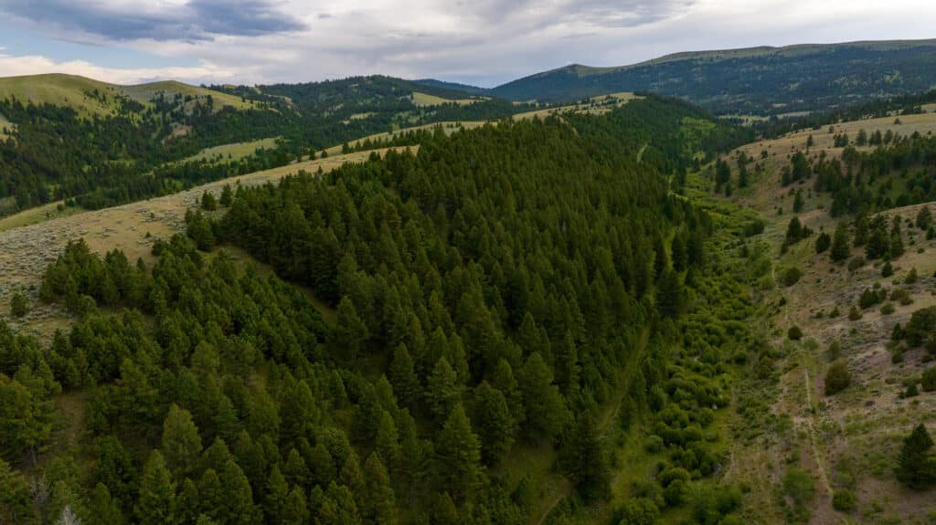 Aerial view of a lush, green forested hill on Battle Mountain Ranch, surrounded by rolling hills and valleys under a cloudy sky.