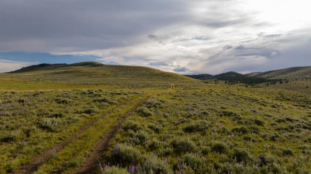 A dirt path winds through a grassy, wildflower-dotted plain with rolling hills and scattered trees under a cloudy sky, evoking the tranquil beauty of Battle Mountain Ranch.