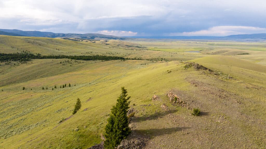 Rolling green hills with scattered trees stretch under a cloudy sky, with distant mountains on the horizon. This open, grassy landscape evokes a sense of vastness and tranquility—much like the serene beauty found at Battle Mountain Ranch.