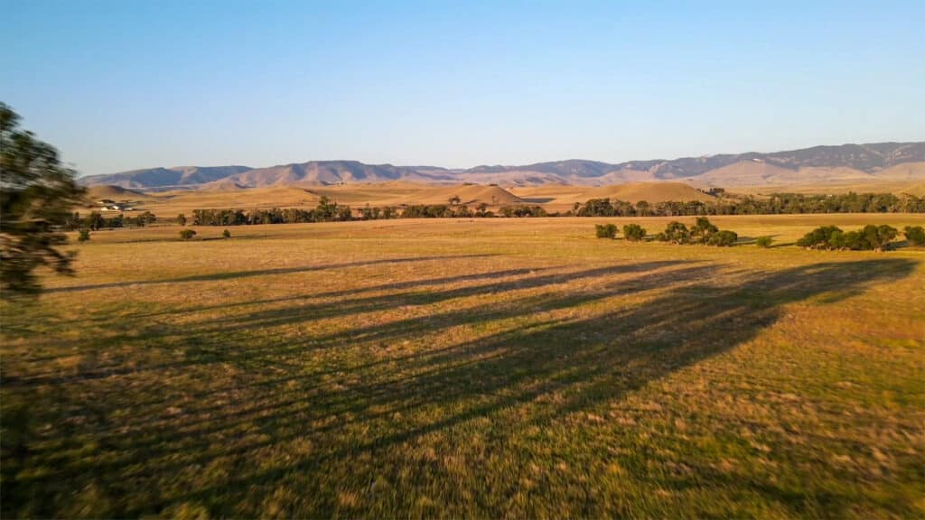 Wide open field with tall trees casting long shadows, under a clear blue sky. In the heart of Rock Creek Meadows, mountains rise in the distance, and the scene is bathed in soft, golden sunlight.