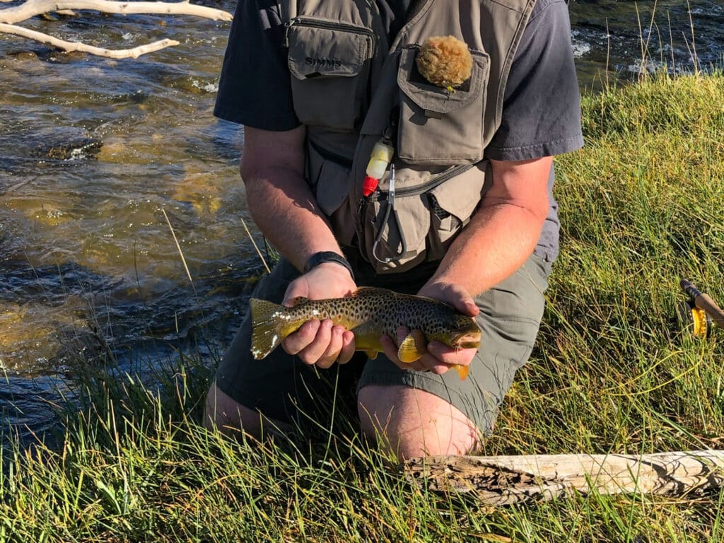 A person kneels on grass beside a river at Rock Creek Meadows, holding a brown trout with both hands. The person wears a fishing vest and the sun casts shadows on the scene.
