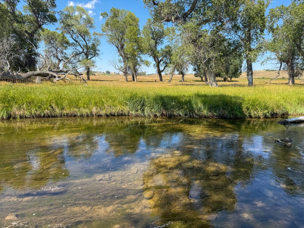 A clear, shallow stream flows in the foreground with rocks visible underwater, reflecting the natural beauty of Rock Creek Meadows. Lush green grass and tall trees line the opposite bank under a bright blue sky with scattered clouds.