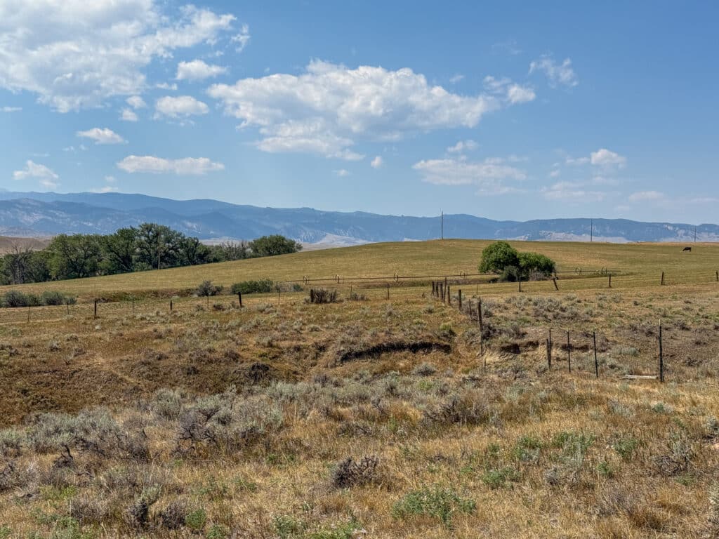Grassy, dry field with sparse shrubs and a wire fence, set against distant mountains under a blue sky with scattered clouds. Trees are clustered in the background near Rock Creek 40.